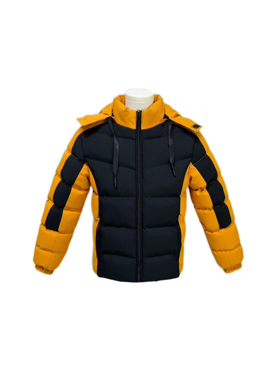 Men's Sport Colorblock Hooded Padded Jacket
